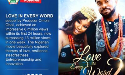 National Orientation Agency controversy